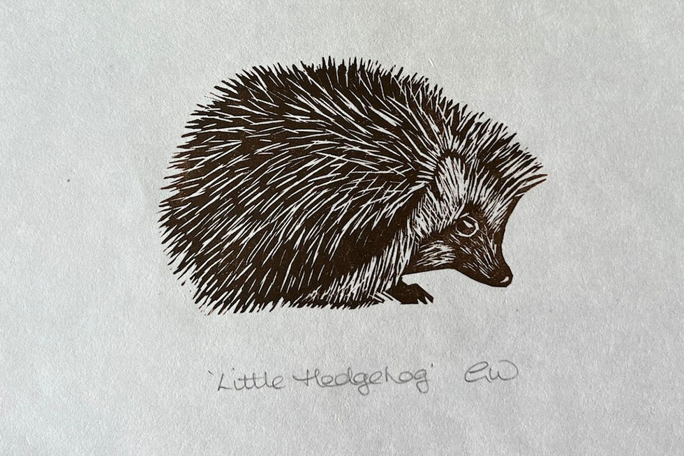 Little Hedgehog